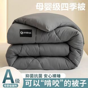 Antarctic Quilt Winter Quilt Summer Cool Quilt Air-conditioning Quilt Spring and Autumn Quilt Four Seasons Universal Student Dormitory Single Quilt Core