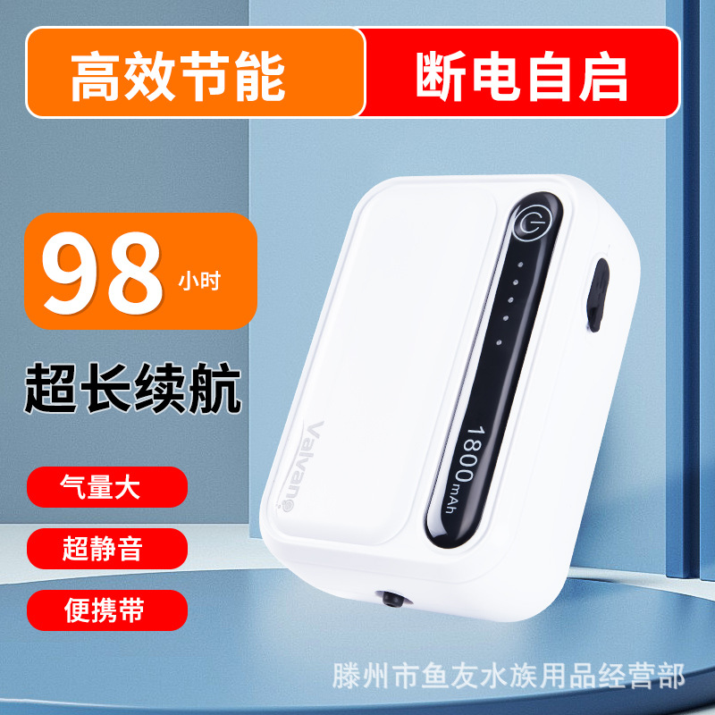 Ulgurji qayta zaryadlanuvchi AC va shahar baliq tanki kislorod pompasi, kislorod pompasi, baliq ovlash uchun maxsus ikki maqsadli havo pompasi, tashqi USB oksigenator