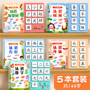 Literacy Book for Children to Recognize Words, Enlightenment, Early Education, Quiet Book, Children's Cards, Full Set of Infant Kindergarten Baby Cognition