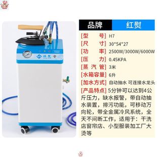 [48 hours delivery] Red Iron high-power iron hanging bottle steam industrial electric iron steam generator.