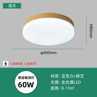 LED intelligent induction ceiling lamp round white human body induction lamp bedroom lamp balcony corridor lamp cross-border manufacturer