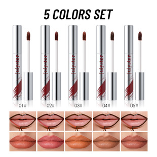 Cross-border makeup fog makeup pen lipstick tear lip glaze suit durable waterproof easy to color lip liner wholesale