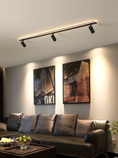 Full spectrum purui spotlight led track light household eye protection living room open-mounted cloakroom clothing store commercial spotlight