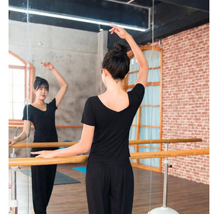 Qiu Shi Yu Dance Practice Clothing Female Adult Modern Dance Dance Clothing Double V Modal Professional Art Examination Student Training