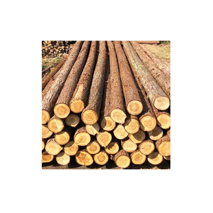 Fir Piling Wood Construction Site River Flood Prevention Wood Pile Fir Log Fir Pile Engineering Construction Custom Size Spot