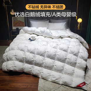 Down quilt thickened warm winter quilt core 95 white goose down hotel single duck down quilt winter spring and autumn quilt