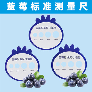 Blueberry standard measuring ruler fruit diameter caliper fresh fruit grading Cherry Cherry size plastic side measuring tool ruler