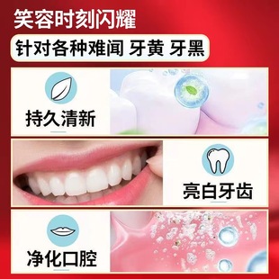 Tiktok popular probiotics bright white toothpaste genuine goods Fresh Breath Oral cleaning manufacturer