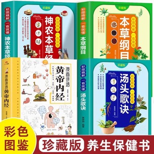 The cartoon tells the compendium of Huangdi Neijing and Materia Medica Shennong Materia Medica and Tang Tou Song Ju Chinese Medicine Health Book