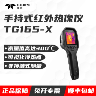 Высокоточный Портативный Инфракрасный Тепловизор American Phillip Flir TG165 TG165-X TG167