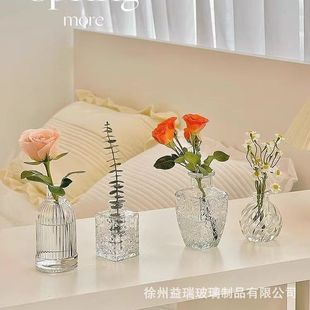 Cross-border Ins Wind Glass Mini Small Vase Embossed Vintage Transparent Hydroponic Flower Vase Living Room Desktop Ornaments