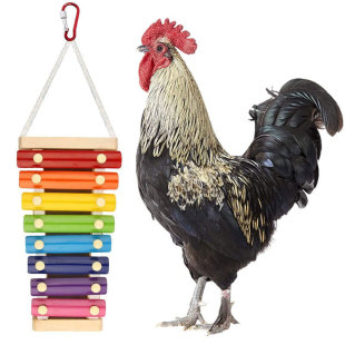 Cross-border explosions chicken toys ringing piano 7 tone factory in stock wholesale parrot toys bird supplies bird toys
