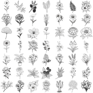 50 black and white plant PET graffiti stickers hand account decoration material DIY water cup mobile phone shell waterproof collage