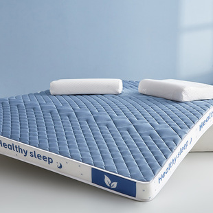 Latex Sponge Mattress Home Bedroom Cushion Special Tatami Mat for Rental Housing Dormitory Student Single Bed Mattress