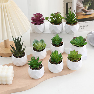 Artificial potted Diamond succulent small bonsai office green plant decoration cross-border hot sale succulent plant wholesale