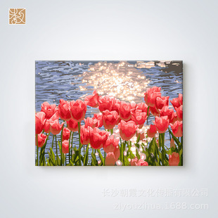 DIY Digital Oil Painting Handmade Oil Painting Hand-painted Color Filling Parent-child Interest Cultivation Ornaments Decorative Painting 4560 with Inner Frame