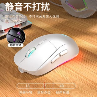 Forerunner G301 Wireless Bluetooth Dual-Mode Mouse Rechargeable Mute Computer Game Office E-Sports Special