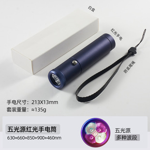Cross-Border E-Commerce Red Light Flashlight Five-Light Source Nose and Ear Canal Soothing Belt Light Guide Column Led Infrared Light Battery