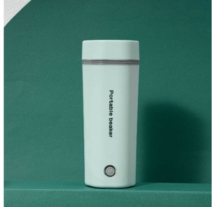 110V electric hot water cup heating mug portable travel office mini stainless steel kettle cross border
