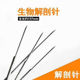 Biological dissecting needle stainless steel probe insect dissecting needle biological dissecting tool junior high school biological experiment equipment