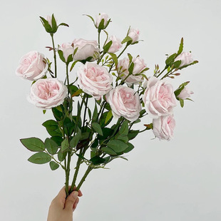 New simulation 6 head Austin rose simulation flower living room decoration flower arrangement design wedding guide photo props