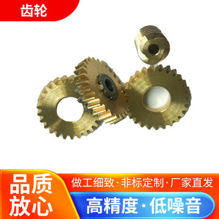 Factory Direct Sales Smart Fingerprint Lock Gear Worm Gear Reliable Quality Good Price Expiration Fast