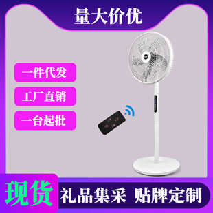 White 16inch Remote Control Floor Fan High-Value Circulation Fan Household Fan Low Noise Strong Wind Electric Fan Manufacturer