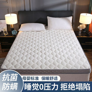 Thickened Mattress Upholstery Household Tatami Sponge Mat Dormitory Student Single Mattress Bottom Rent Room Mattress