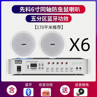 Ceiling sound room living room home shop decoration background music power amplifier suit meeting room ceiling ceiling