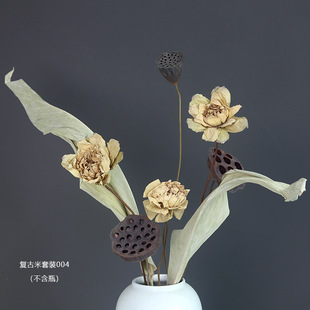 Lotus Dried Flower Bundle Lotus Canopy Real Flower Ornaments Living Room Decoration Air-dried Lotus Leaf Natural New Chinese-style Shooting Props