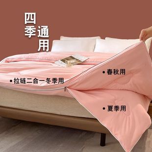 Soybean Quilt Two-in-One Zipper Thickened Warm Spring and Autumn Quilt Core Single Double Quilt Winter Quilt All Seasons Universal