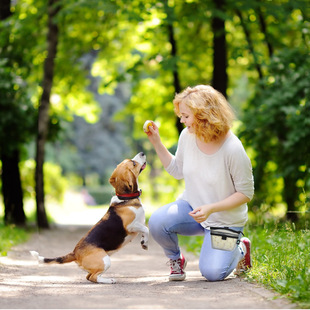 Pet training portable waist bag dog snack bag clip net walking dog training dog food feeding bag outdoor dog training supplies