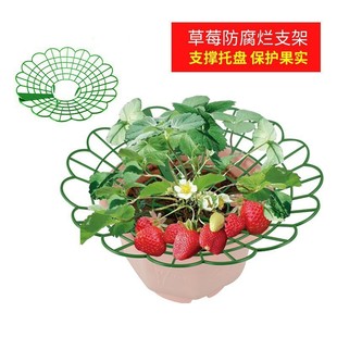 Strawberry Bracket Tray Gardening Supplies Home Balcony Planting Sunflower Potted Seedling Anticorrotten Fruit Support