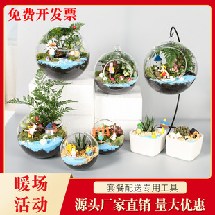Warm-up Activity Moss Micro Landscape diy Material Package Ecological Bottle Handmade Succulent Green Plant Potted Gift Set