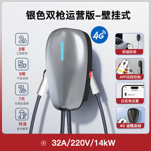 Source manufacturer Tesla BYD New Energy Electric Vehicle 4G Bluetooth 7kw/11kw/21 Home Charging Pile