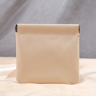 Storage Bag Lipstick Cosmetic Bag Small Mini Charger Automatic Close Close Cable Headset Data Cable