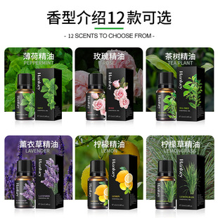 Rose Lavender Mint Massage Essential Oil 10ml Hanji Plant Essential Oil Foreign Trade Cross-border Full English