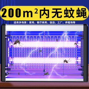 Mosquito killing lamp Restaurant Hotel Flies Catching Household Electric Mosquito Shops Hanging Fly killing lamp Mosquito repellent