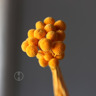 Yongsheng golden ball dried flower bouquet wholesale golden mallet flower golden fruit natural real flower with grass flower material factory wholesale