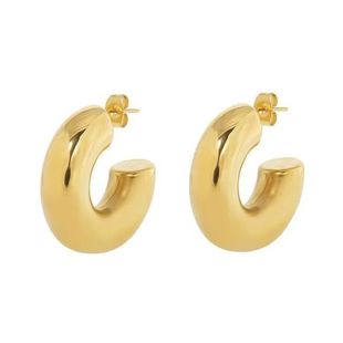 European and American fashion style C- shaped thick earrings titanium steel ring earrings personalized cold style stainless steel ear buckle earrings earrings