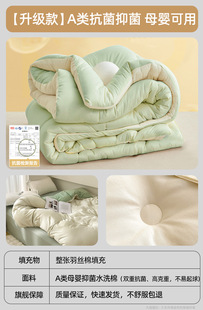 Winter Household Thick Quilt Student Dormitory Spring and Autumn Quilt Air-conditioning Quilt 2024 New Four Seasons Universal Winter Quilt Quilt Core