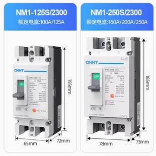 Nm1-2P Chint Molded Case Circuit Breaker Air Switch Nm1-125S 250S/2300G Two-Pole Molded Case Air Switch
