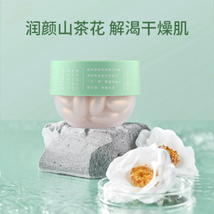 NETSE Camellia Seed Nut Увлажняющая эссенция Увлажняющий осенне-зимний женский увлажняющий крем с фруктовой кислотой Factory Outlet
