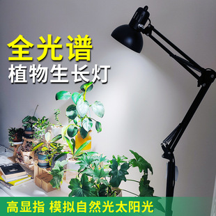 30W plant fill light full spectrum tropical green plant potted growth light fish tank floor lamp bracket