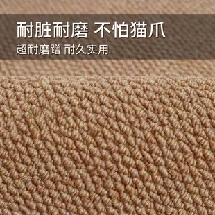 Imitation sisal carpet anti-cat scratch non-slip pineapple ring floor mat balcony sofa carpet wear-resistant and durable large area floor mat