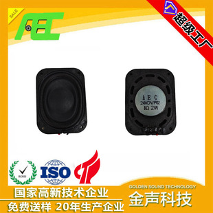 Aec Brand Manufacturer Outer Diameter 30*40mm Square 8 Ohm 2 Watt Notebook Full-Range Internal Magnetic Horn Speaker