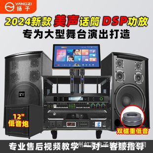 Yangzi high-power family ktv audio suit karaoke home karaoke dance studio conference room speaker suit