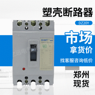 Chint Plastic DZ20Y-100/3 300 100A Fixed Protector Wiring Short Circuit Overload Molded Case Circuit Breaker