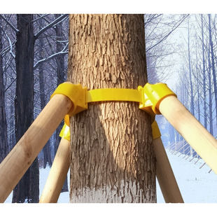 Tree Support Holder Seedling Support Tree Support Set Cup Big Tree Greening Tree Rack Windproof Brace Tree Support Frame