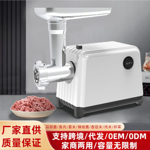 Cross-Border Electric Meat Grinder European Regulations 220V Meat Grinder Sausage Machine Export Export Amazon Russia Central Asia Middle East